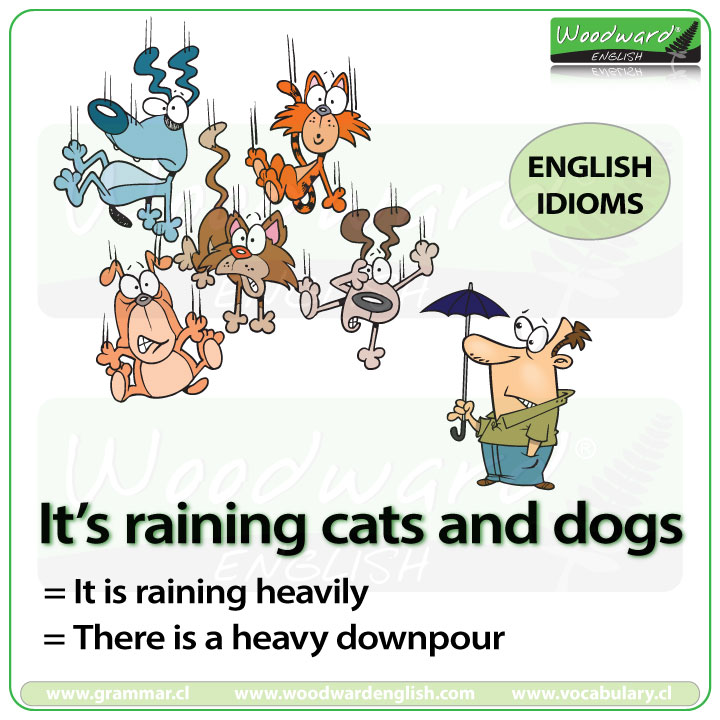 It's raining cats and dogs - English idiom meaning