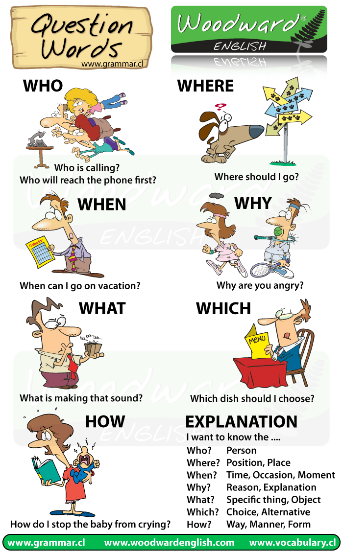 Question Words Cartoon Chart | Woodward English