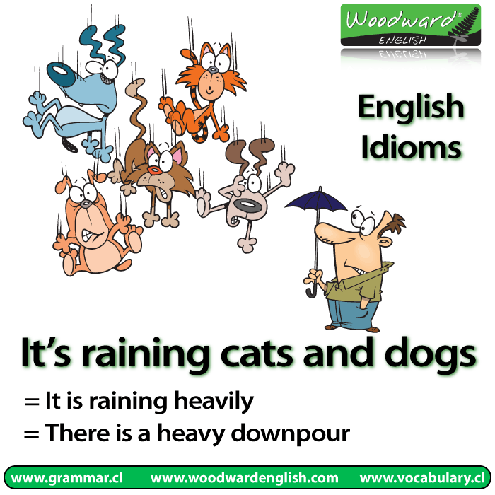 The English idiom It's raining cats and dogs