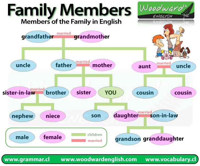 Members of the Family in English