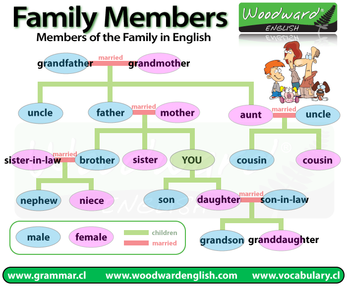 Family Members Chart