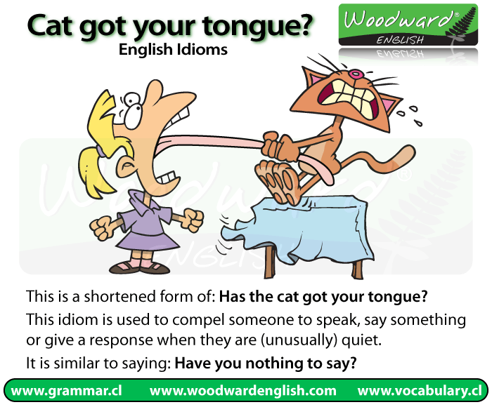The Meaning Of The English Idiom Has The Cat Got Your Tongue