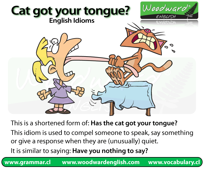 The meaning of the English Idiom: Has the cat got your tongue?