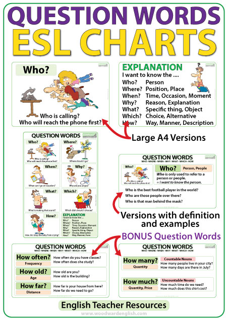 Question Words in English Charts & Flash Cards - ESL / ELL Teacher Resources