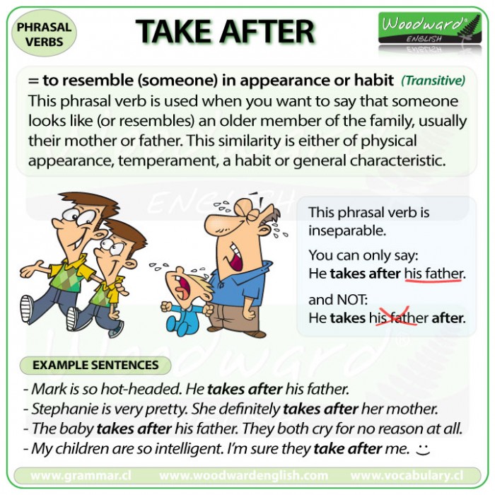 TAKE AFTER - Meanings and examples of this English Phrasal Verb