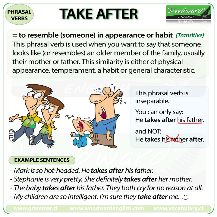 TAKE AFTER – phrasal verb – meanings and examples Woodward English