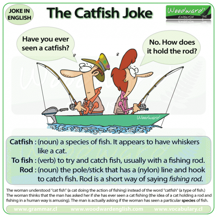 Catfish joke in English with vocabulary and an explanation of why it is funny.