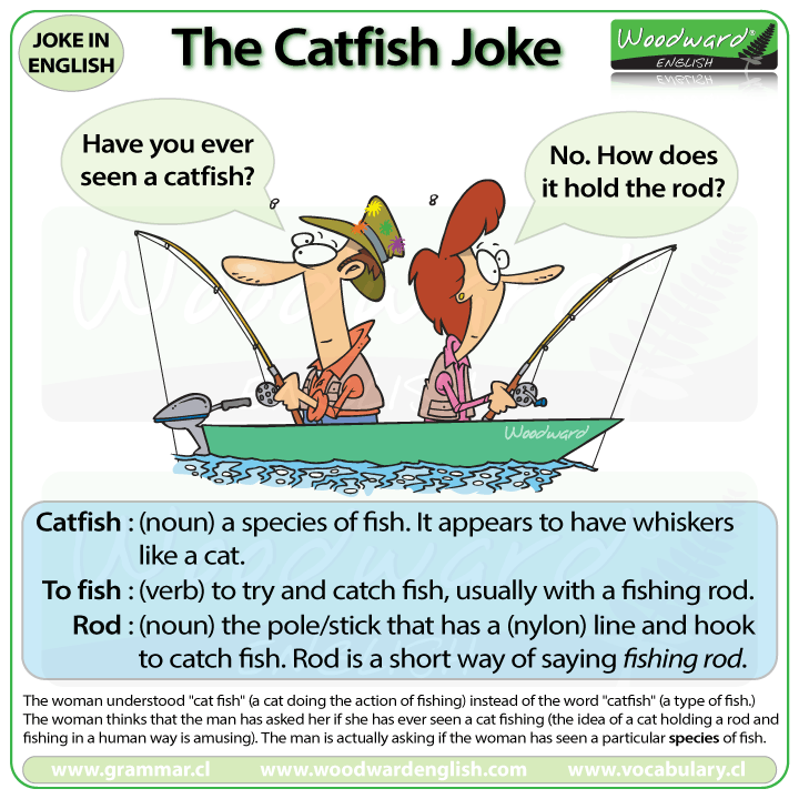 Catfish joke in English with vocabulary and an explanation of why it is funny.