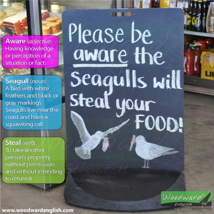 Seagulls steal food sign at a cafe in New Zealand. Includes English vocabulary meaning.