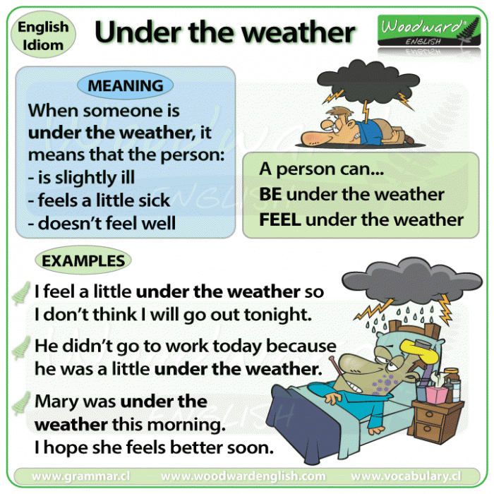 The meaning of the English idiom - Under the Weather - with example sentences.