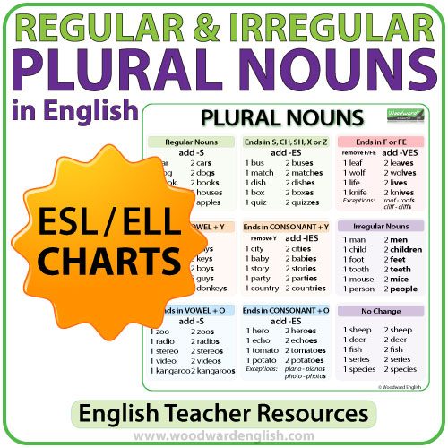 Plural Nouns Charts – Regular & Irregular Nouns in English Woodward English