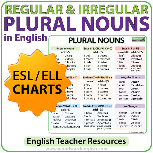 Plural Nouns Charts Regular Irregular Nouns In English