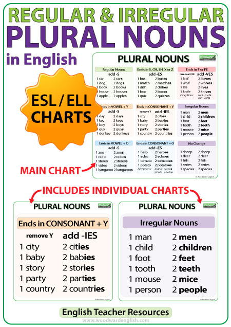 Plural Nouns Charts - Regular & Irregular Nouns in English