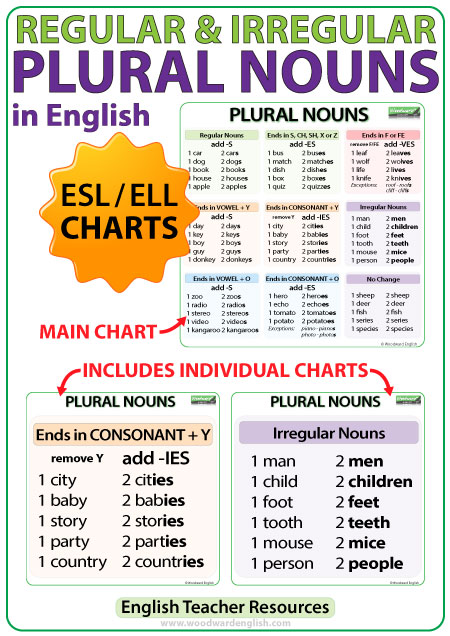 Singular And Plural Nouns Chart