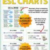 DO vs. MAKE ESL Charts for Teachers