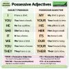 Possessive Adjectives in English with example sentences - Woodward English