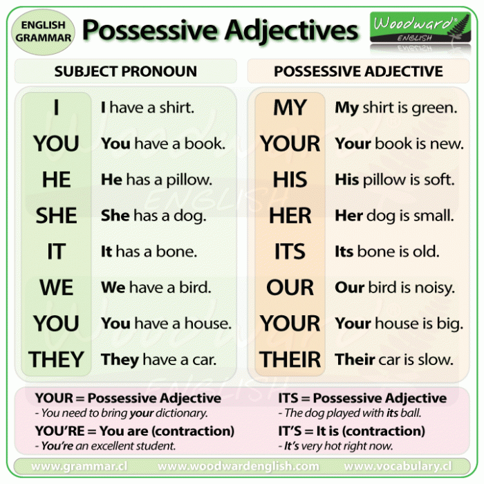 Possessive Adjectives in English with Example Sentences