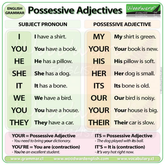 Possessive Adjectives in English with example sentences - Woodward English