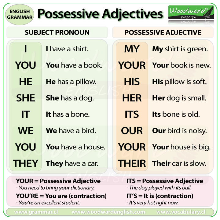 what is possessive sentence