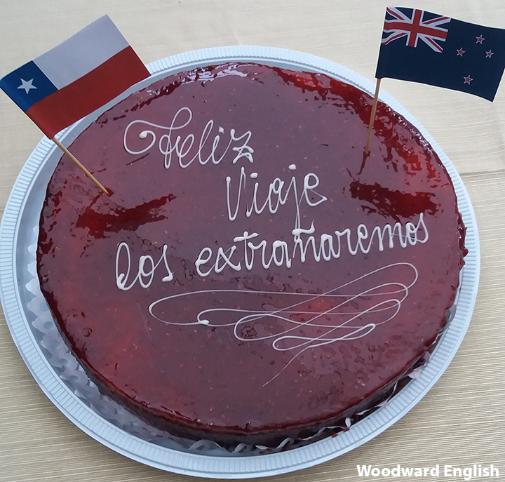 Farewell cake with the flags of Chile and New Zealand and a message in Spanish.