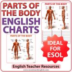 English parts of the body charts and worksheet for ESOL students