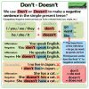 DON'T vs. DOESN'T in English - Simple Present Tense Negative Sentences