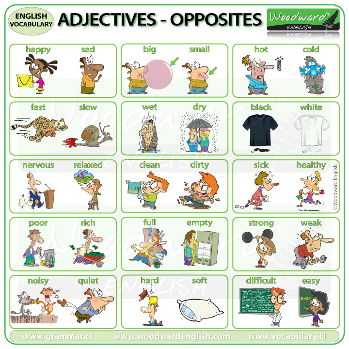 Adjectives - Opposites Woodward English