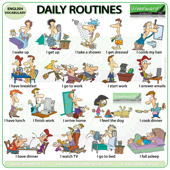 Dog Daily Schedule Chart