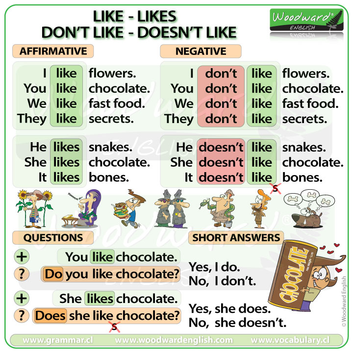 Like – likes – don't like – doesn't like | Woodward English