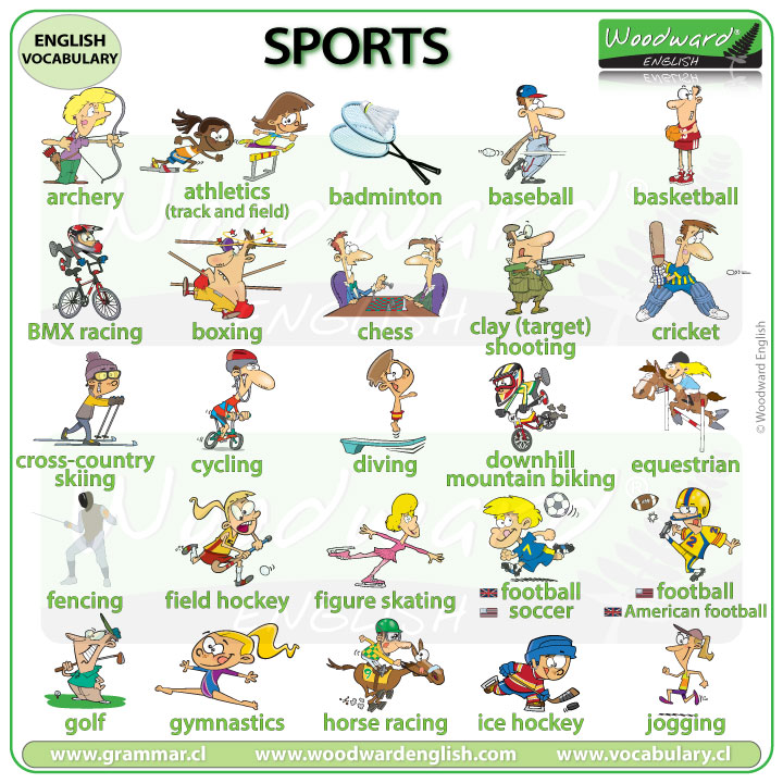  Sports vocabulary