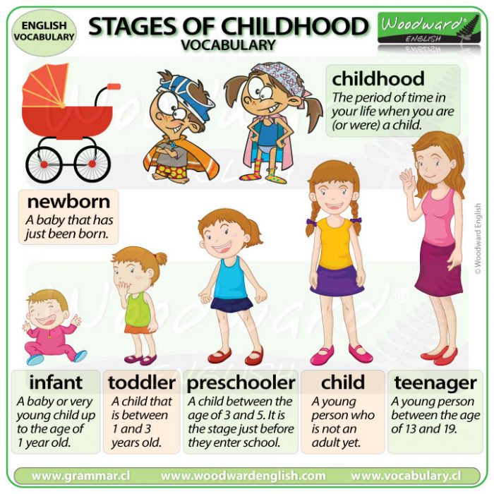 Stages Of Childhood English Vocabulary Woodward English stages-of-childhood-english-vocabulary-woodward-english