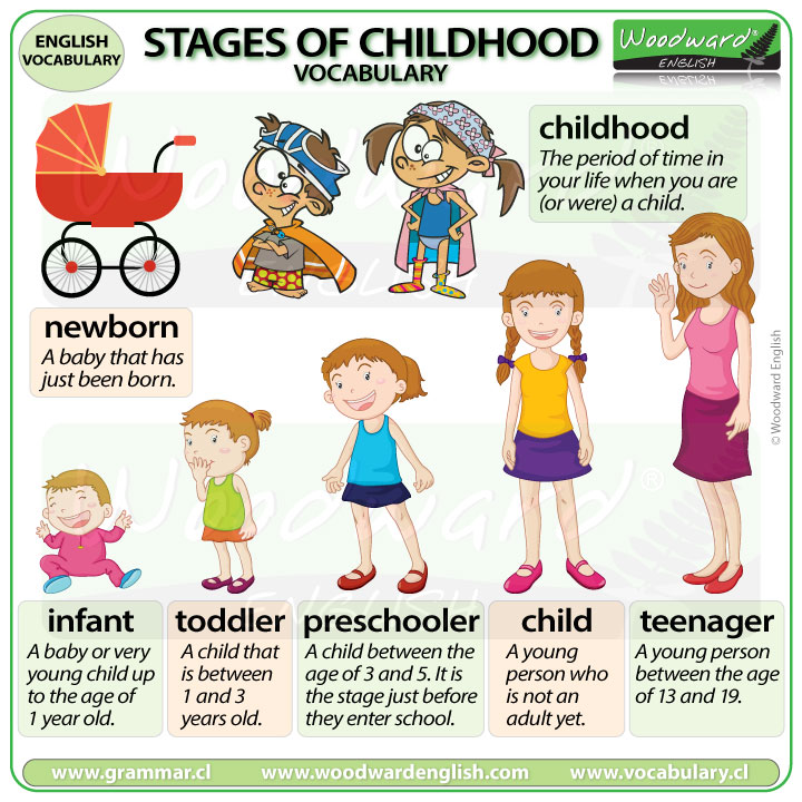 Stages of Childhood – English Vocabulary