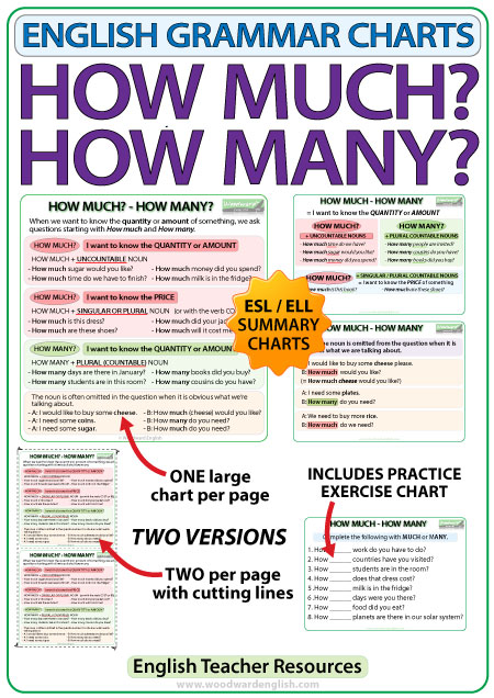 Much and Many - Basic English Grammar 