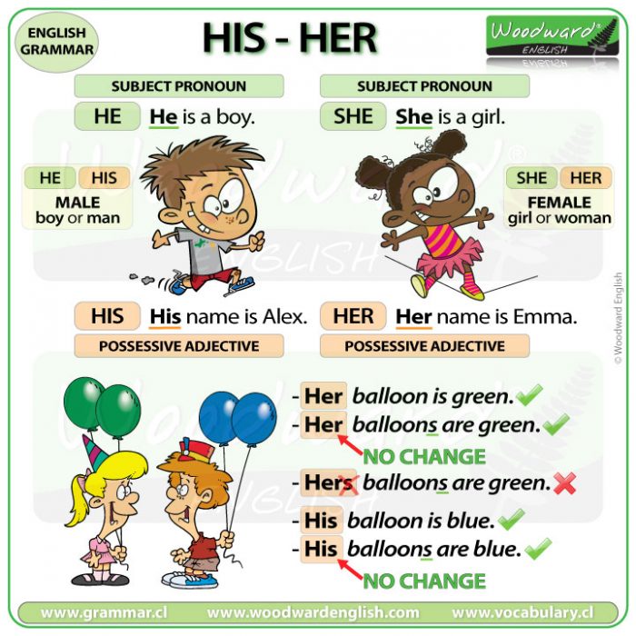 English grammar & idioms - @efl_ana . . Difference between the possessive  adjectives HIS and HER in English. . #his #her #hisandher #possessive  #possessiveadjectives #grammar #englishgrammar #learnenglish #studyenglish  #dicasdeingles #englishtips