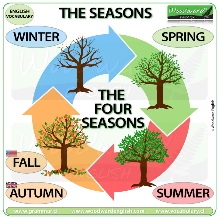 English Worksheets For Seasons