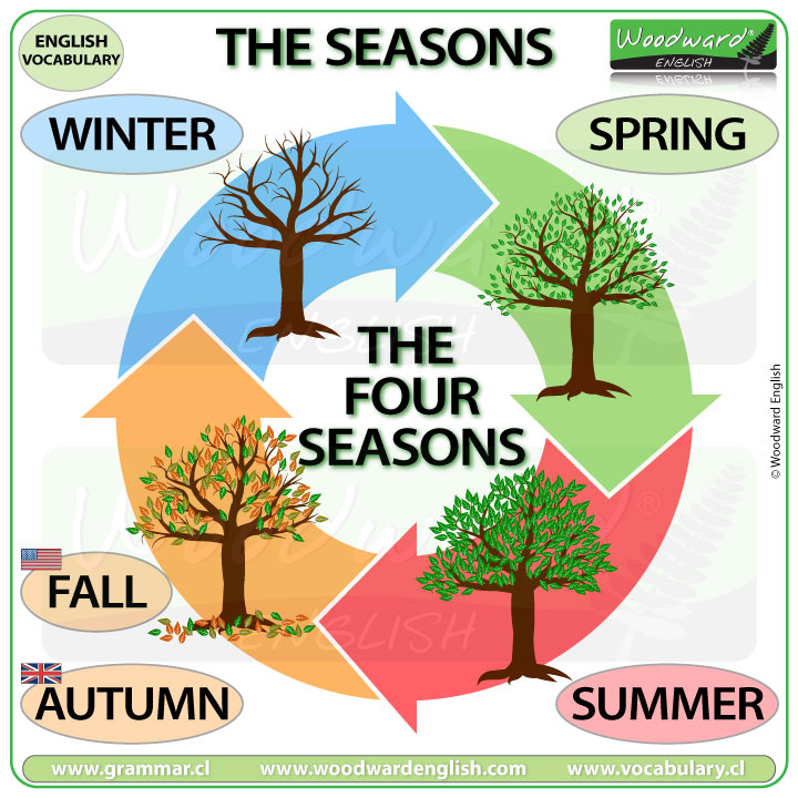 Seasons Vocabulary In English Woodward English