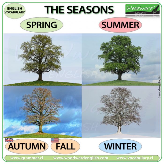 Seasons in English – winter, spring, summer, autumn – fall | Woodward