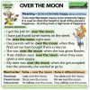 Over the moon - English Idiom meaning with example sentences