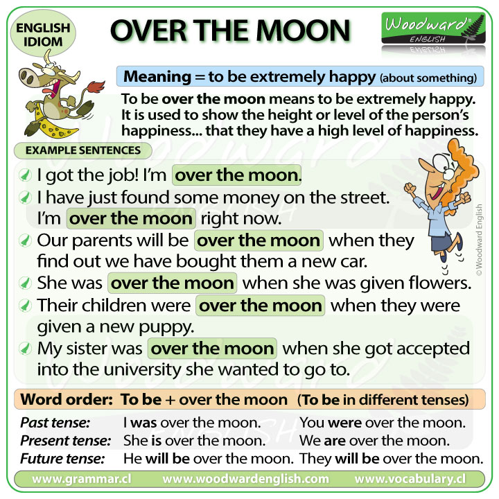 Over the moon - English Idiom meaning with example sentences