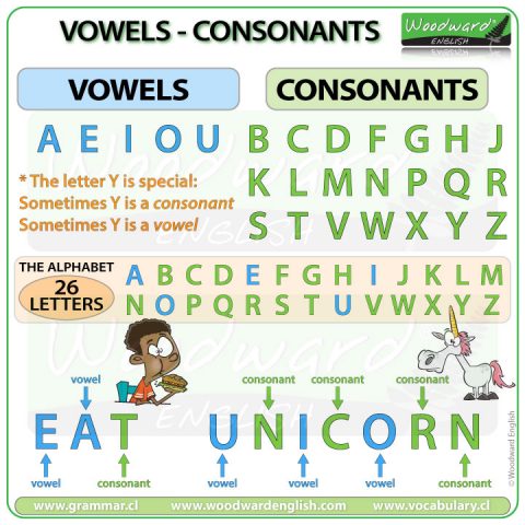 what are vowels and consonants