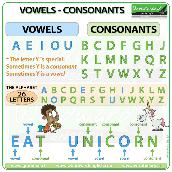 Vowels in English – Consonants in English | Woodward English