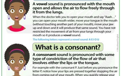 What is a vowel? What is a consonant? Difference in English