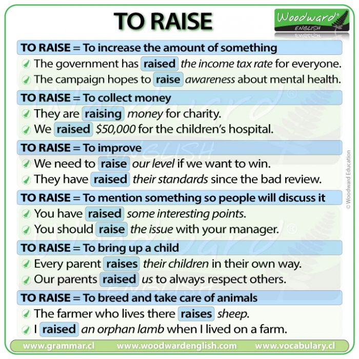 Raise - meanings and example sentences in English