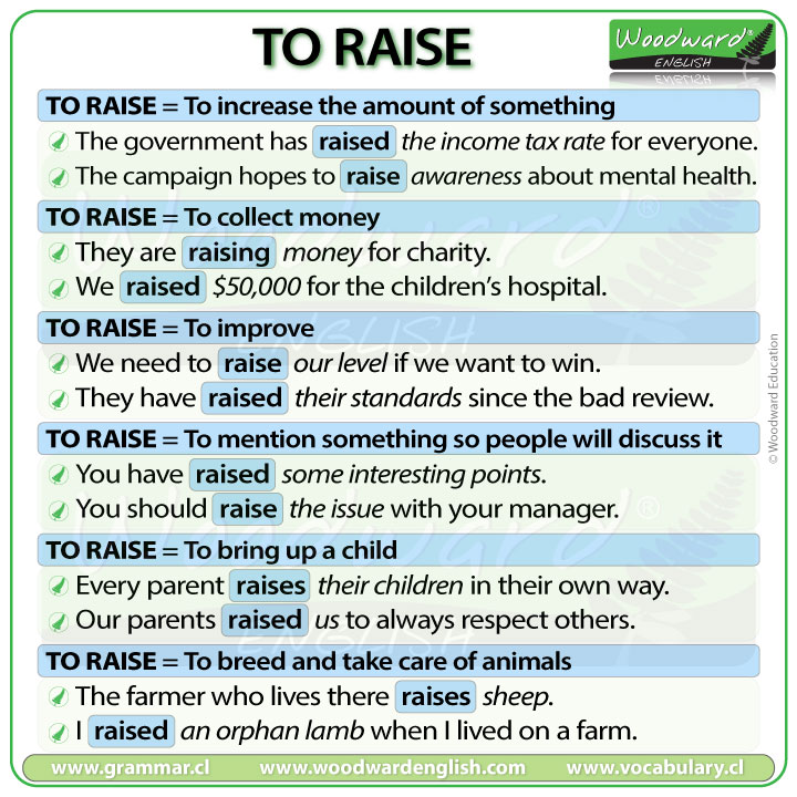 Raise - meanings and example sentences in English