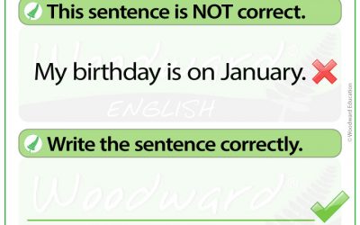 English Error Analysis 2