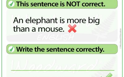 English Error Analysis 3