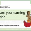 Why are you learning English? Woodward English Conversation Question 15