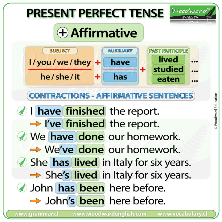English Present Perfect Tense Contractions - Learn English Grammar