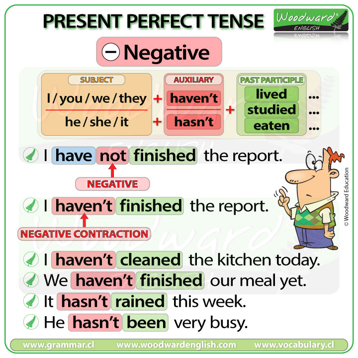 Present Perfect Tense - Negative Sentences - Learn English Grammar