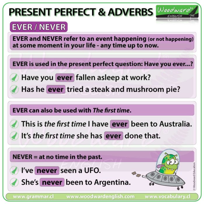 EVER and NEVER with the present perfect tense in English - English Grammar Lesson